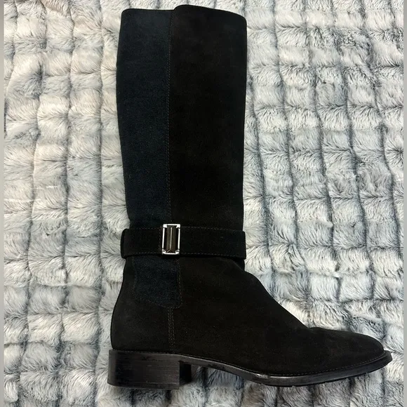 Aquatalia Giada Suede Tall Under The Knee Boots