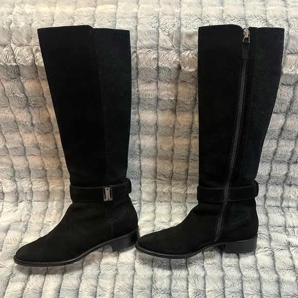Aquatalia Giada Suede Tall Under The Knee Boots