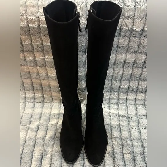 Aquatalia Giada Suede Tall Under The Knee Boots