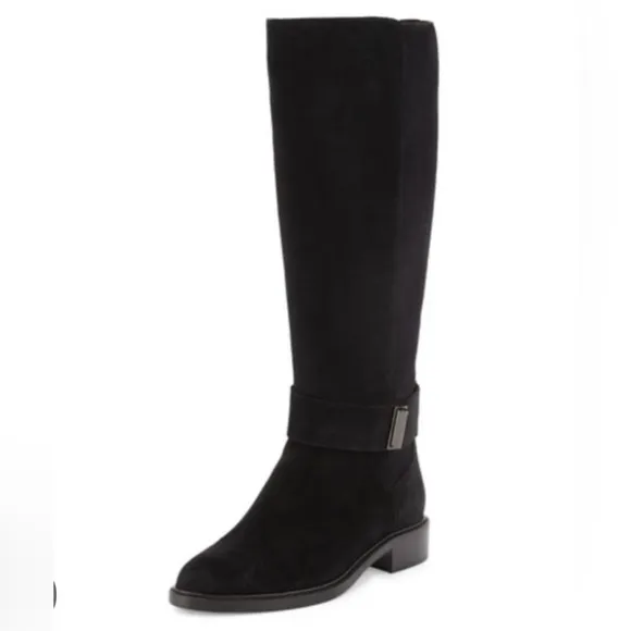 Aquatalia Giada Suede Tall Under The Knee Boots