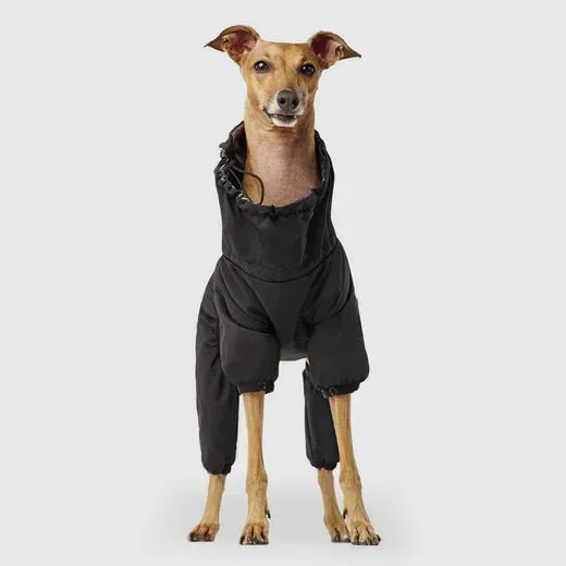 Canada Pooch The Snow Suit