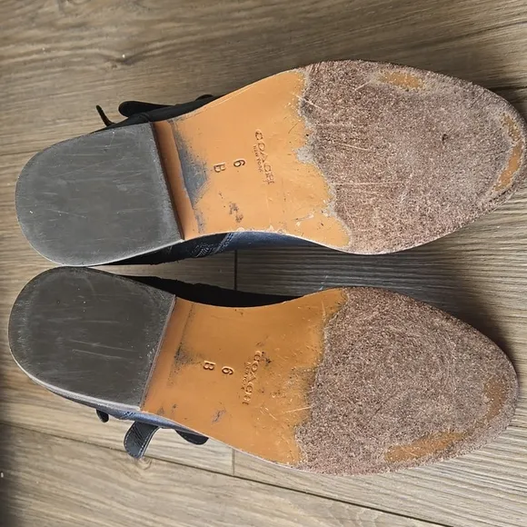 Coach Lilliana Leather and Suede Ankle Boots