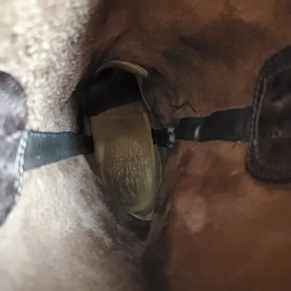 Frye Jane Brown Belted Harness Boots