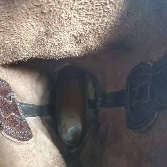 Frye Jane Brown Belted Harness Boots