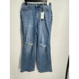 Judy Blue Women’s 14W Maddy High Waist Tummy Control Distressed Straight Jeans