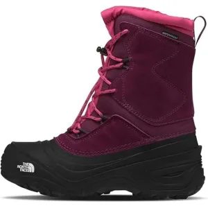 The North Face Alpenglow V NF0A5LXFKK9 Snow Boots Kids Size 3 Boysenberry RNS083